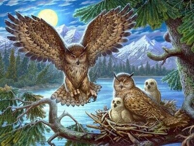 Diamond Painting Vollbild 30x40 mit runden Steinen Diamond Painting Vollbild 30x40 mit runden Steinen