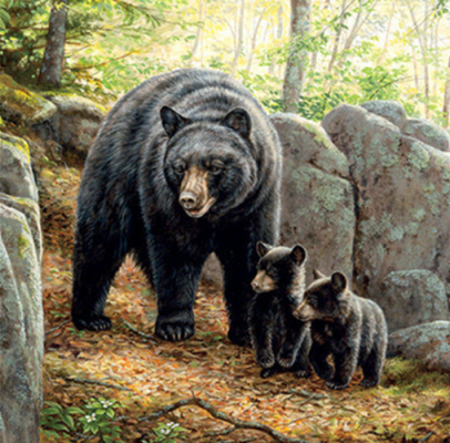 Diamond Painting Vollbild 30x40 mit runden Steinen