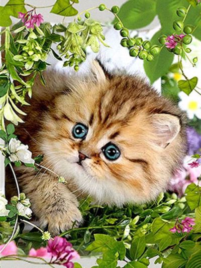 Diamond Painting Vollbild 30x40 mit runden Steinen Diamond Painting Vollbild 30x40 mit runden Steinen