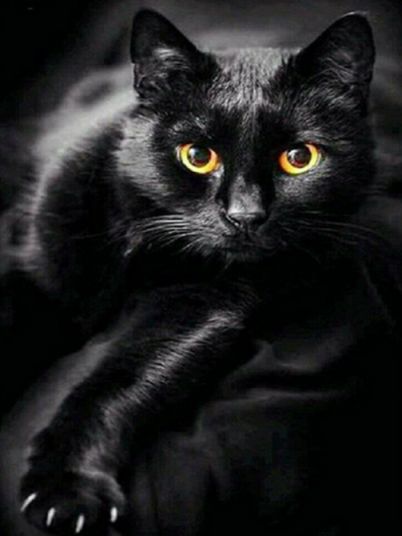 Diamond Painting Vollbild 30x40 mit runden Steinen Diamond Painting Vollbild 30x40 mit runden Steinen