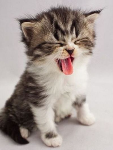 Diamond Painting Vollbild 30x40 mit runden Steinen Diamond Painting Vollbild 30x40 mit runden Steinen