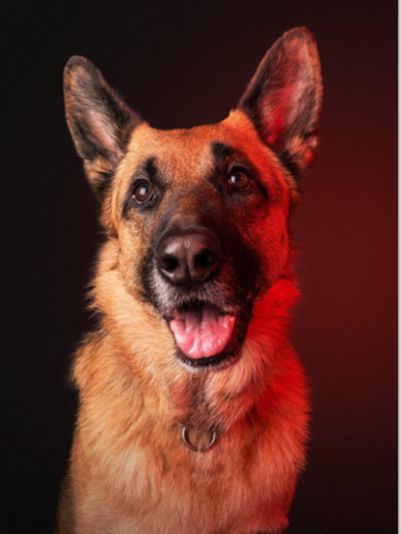 Diamond Painting Vollbild 30x40 mit runden Steinen Diamond Painting Vollbild 30x40 mit runden Steinen