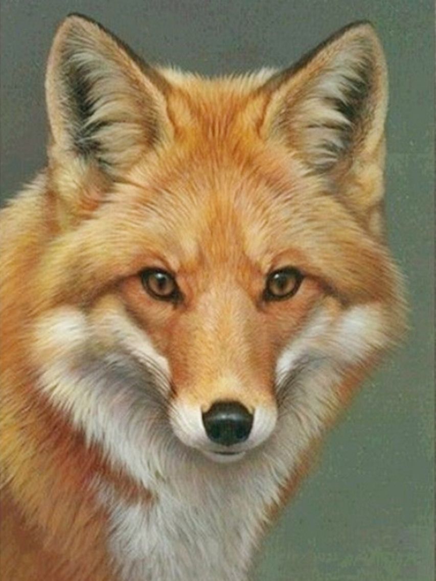 Diamond Painting Vollbild 30x40 mit runden Steinen Diamond Painting Vollbild 30x40 mit runden Steinen
