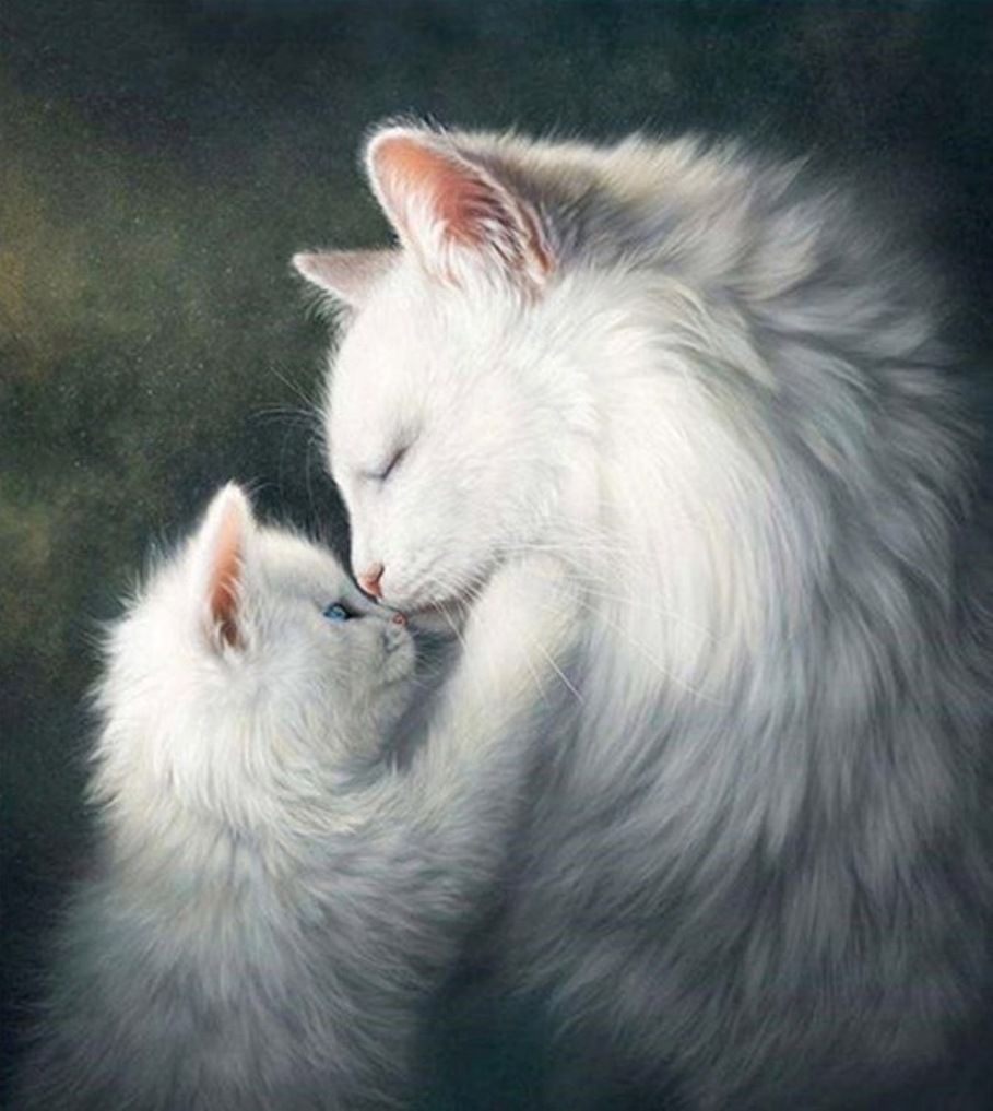 Diamond Painting Vollbild 30x40 mit runden Steinen Diamond Painting Vollbild 30x40 mit runden Steinen