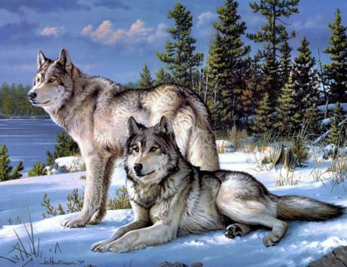 Diamond Painting Vollbild 30x40 mit runden Steinen Diamond Painting Vollbild 30x40 mit runden Steinen