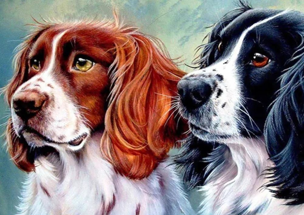 Diamond Painting Vollbild 30x40 mit runden Steinen Diamond Painting Vollbild 30x40 mit runden Steinen