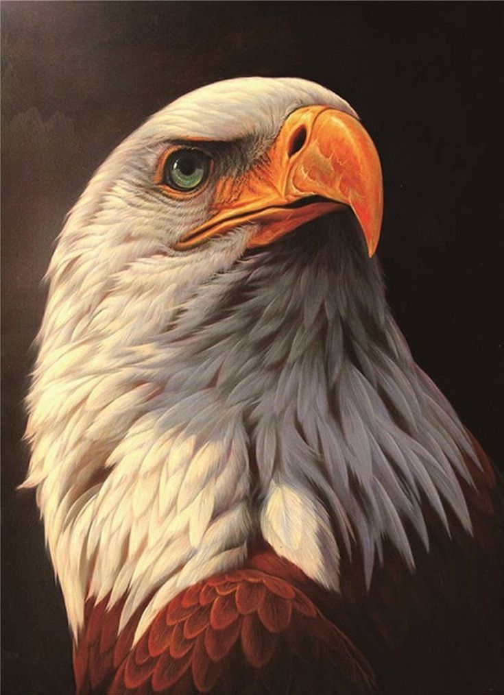 Diamond Painting Vollbild 30x40 mit runden Steinen Diamond Painting Vollbild 30x40 mit runden Steinen