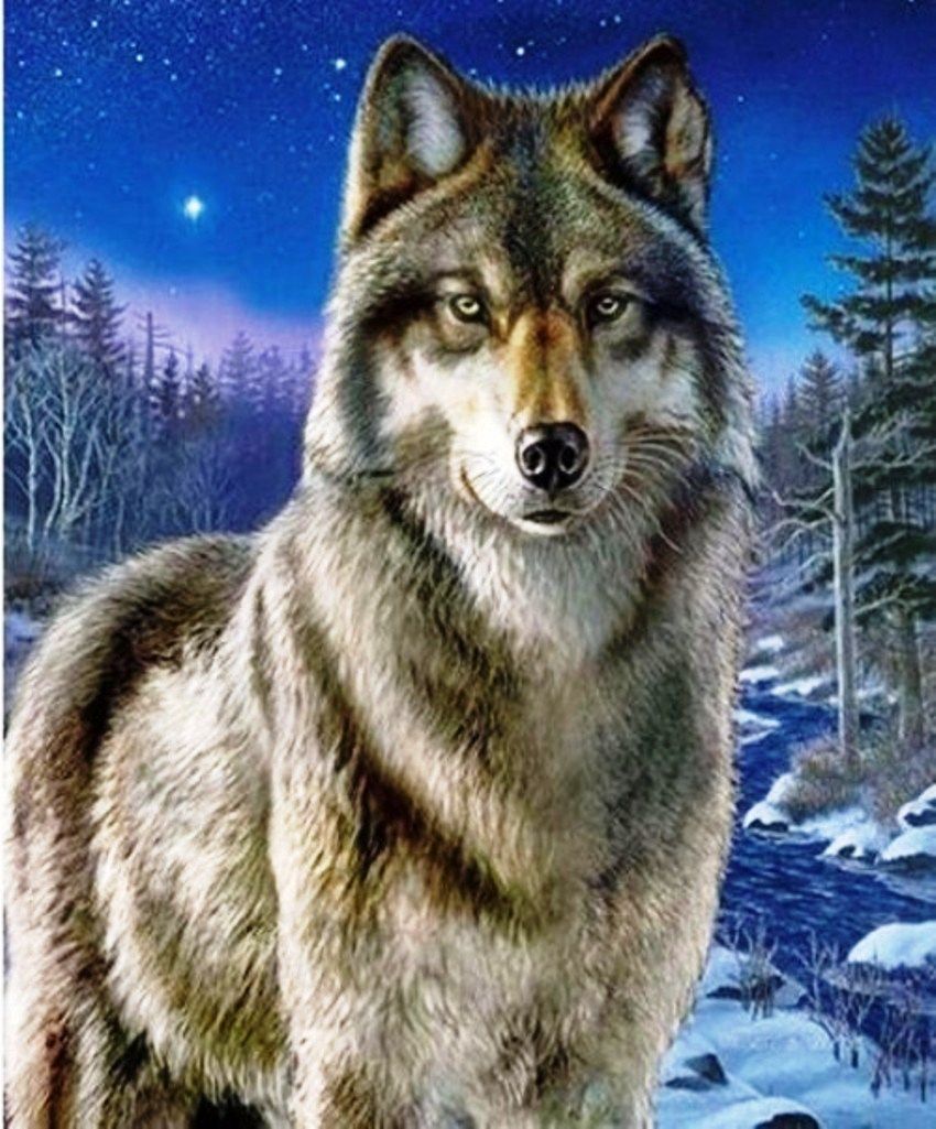 Diamond Painting Vollbild 30x40 mit runden Steinen