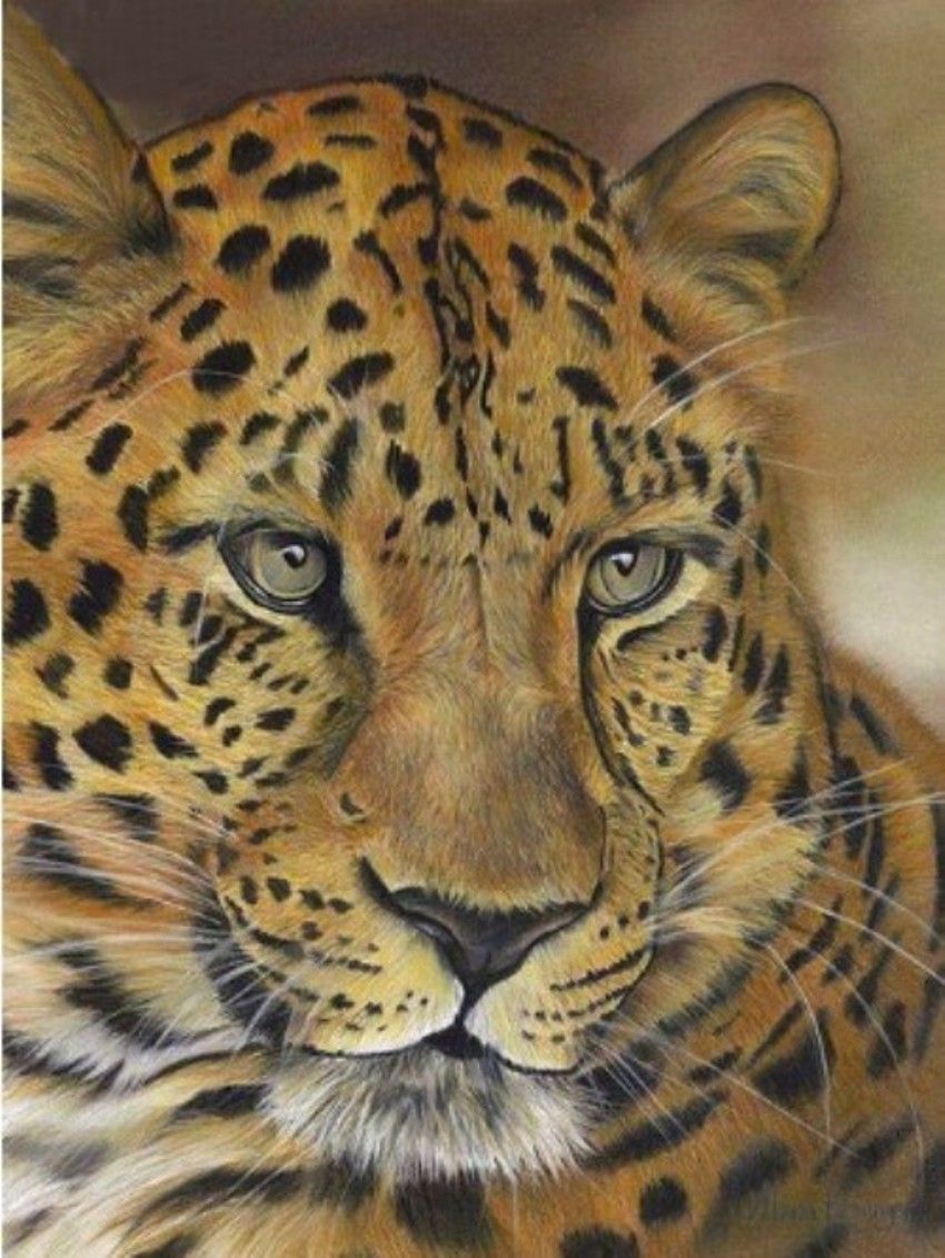 Diamond Painting Vollbild 30x40 mit runden Steinen Diamond Painting Vollbild 30x40 mit runden Steinen