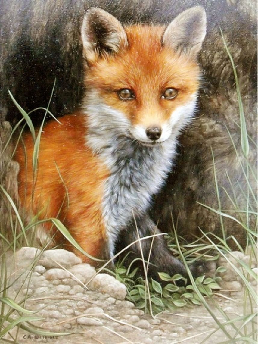 Diamond Painting Vollbild 30x40 mit runden Steinen Diamond Painting Vollbild 30x40 mit runden Steinen