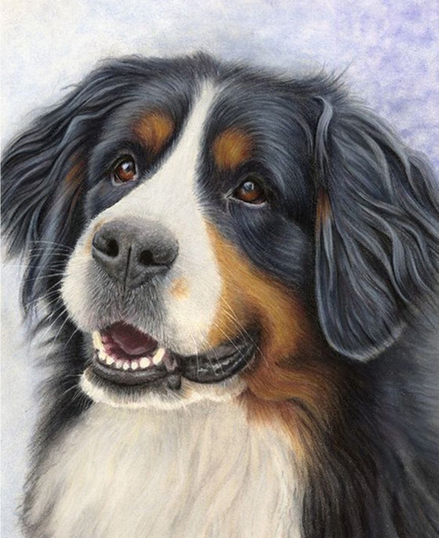 Diamond Painting Vollbild 30x40 mit runden Steinen Diamond Painting Vollbild 30x40 mit runden Steinen