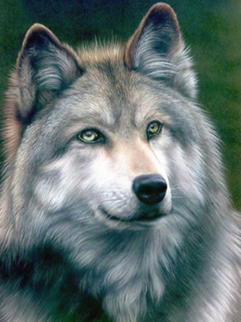 Diamond Painting Vollbild 30x40 mit runden Steinen Diamond Painting Vollbild 30x40 mit runden Steinen
