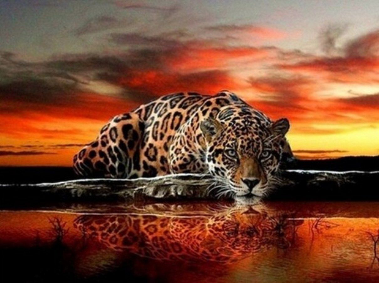 Diamond Painting Vollbild 30x40 mit runden Steinen Diamond Painting Vollbild 30x40 mit runden Steinen