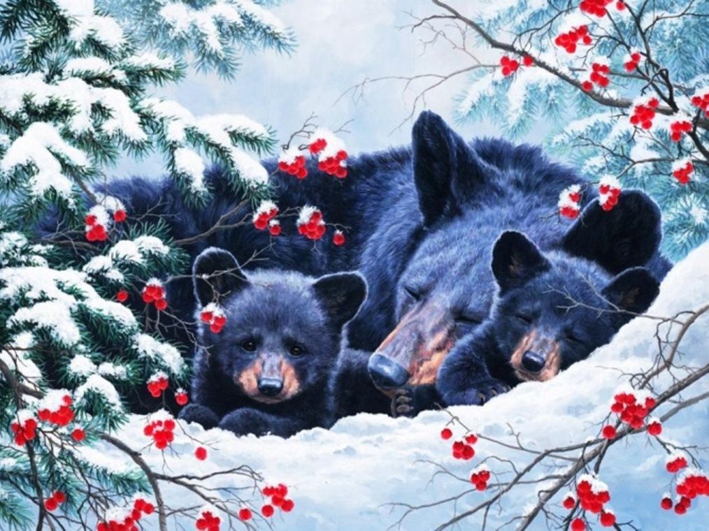 Diamond Painting Vollbild 30x40 mit runden Steinen Diamond Painting Vollbild 30x40 mit runden Steinen