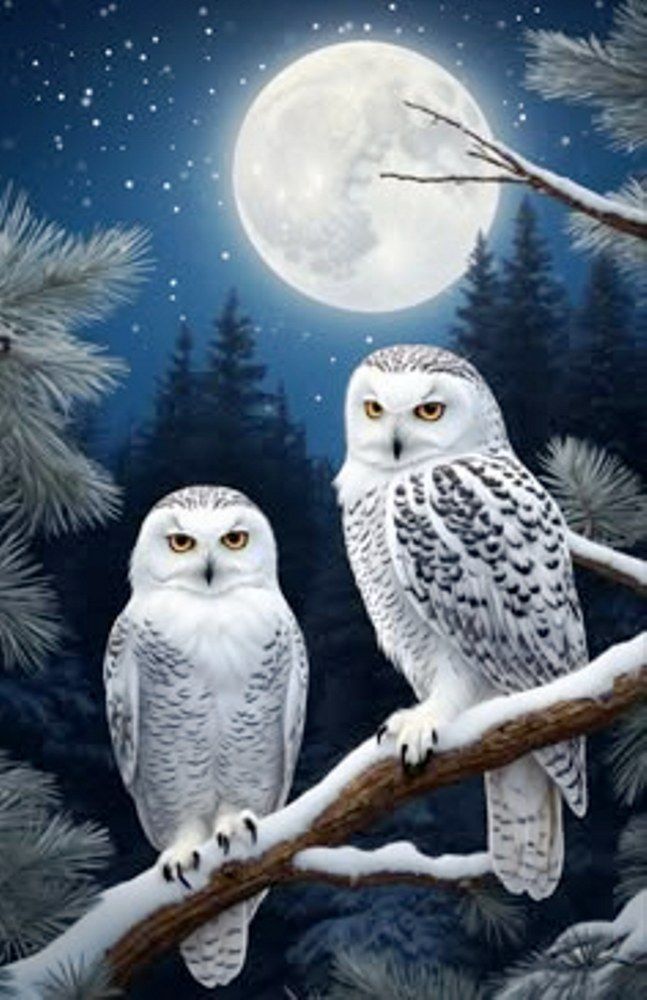 Diamond Painting Vollbild 30x40 mit eckigen Steinen Diamond Painting Vollbild 30x40 mit eckigen Steinen
