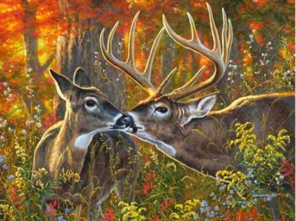 Diamond Painting Vollbild 30x40 mit eckigen Steinen Diamond Painting Vollbild 30x40 mit eckigen Steinen