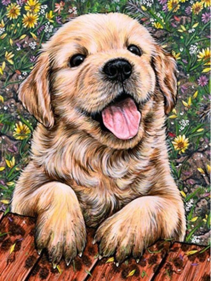 Diamond Painting Vollbild 30x40 mit runden Steinen Diamond Painting Vollbild 30x40 mit runden Steinen