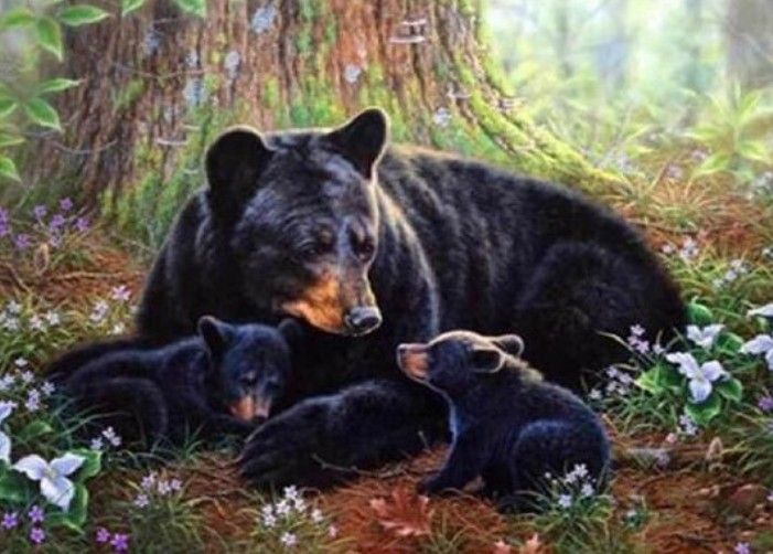 Diamond Painting Vollbild 30x40 mit runden Steinen Diamond Painting Vollbild 30x40 mit runden Steinen