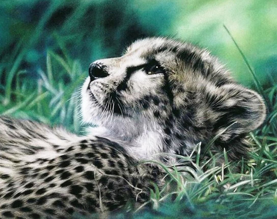 Diamond Painting Vollbild 30x40 mit runden Steinen Diamond Painting Vollbild 30x40 mit runden Steinen