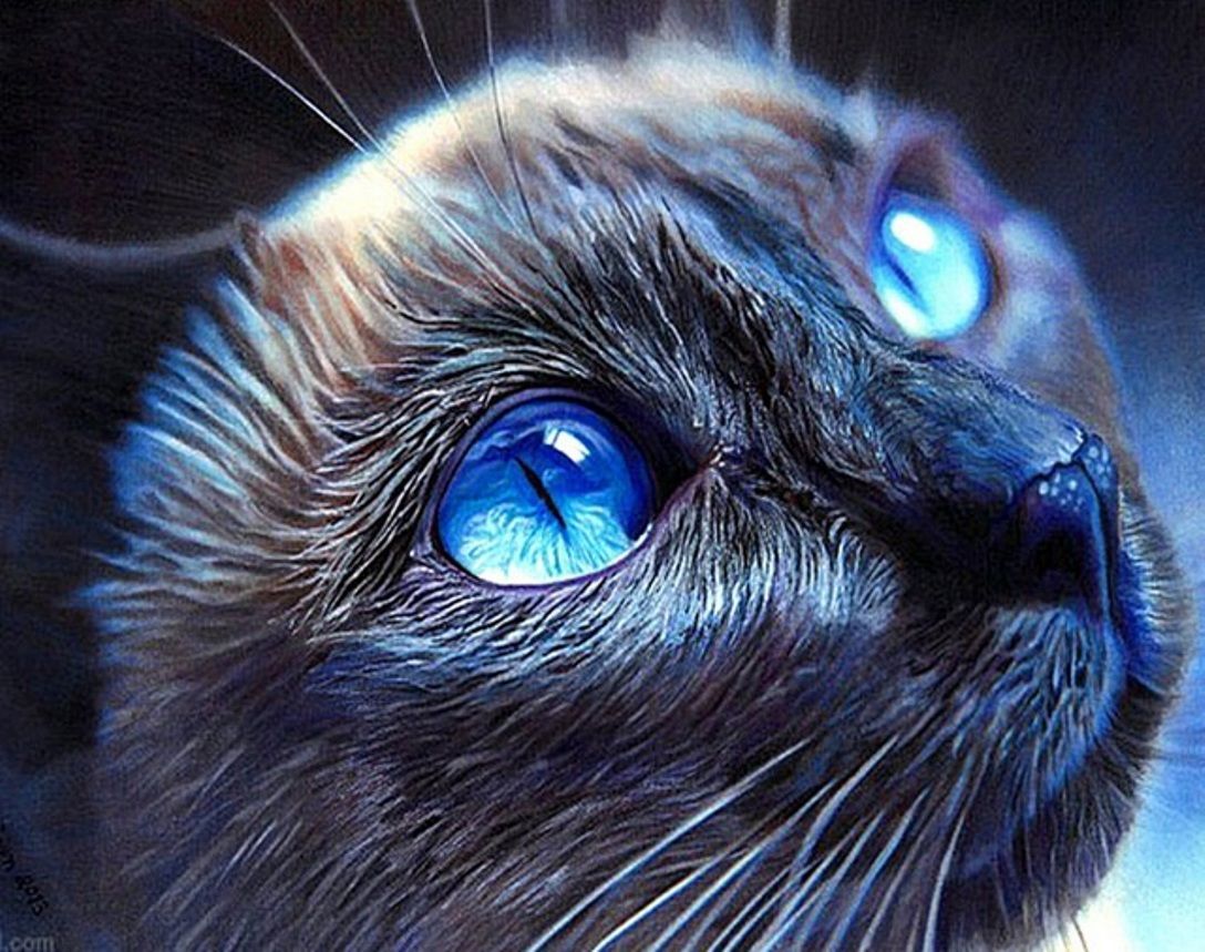 Diamond Painting Vollbild 30x40 mit runden Steinen Diamond Painting Vollbild 30x40 mit runden Steinen