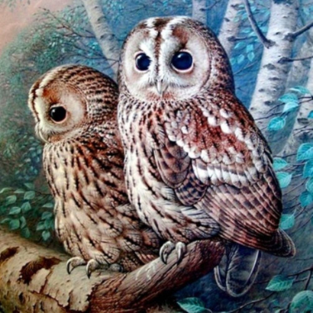 Diamond Painting Vollbild 30x40 mit eckigen Steinen Diamond Painting Vollbild 30x40 mit eckigen Steinen