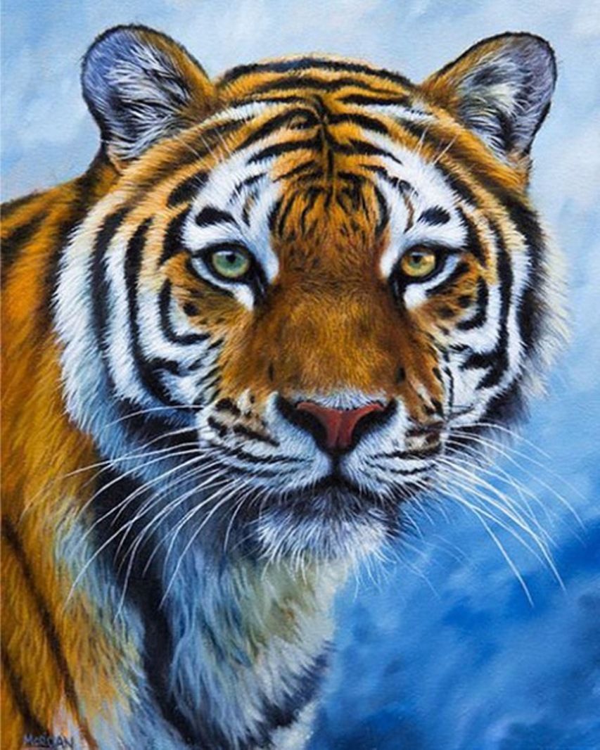 Diamond Painting Vollbild 30x40 mit eckigen Steinen Diamond Painting Vollbild 30x40 mit eckigen Steinen