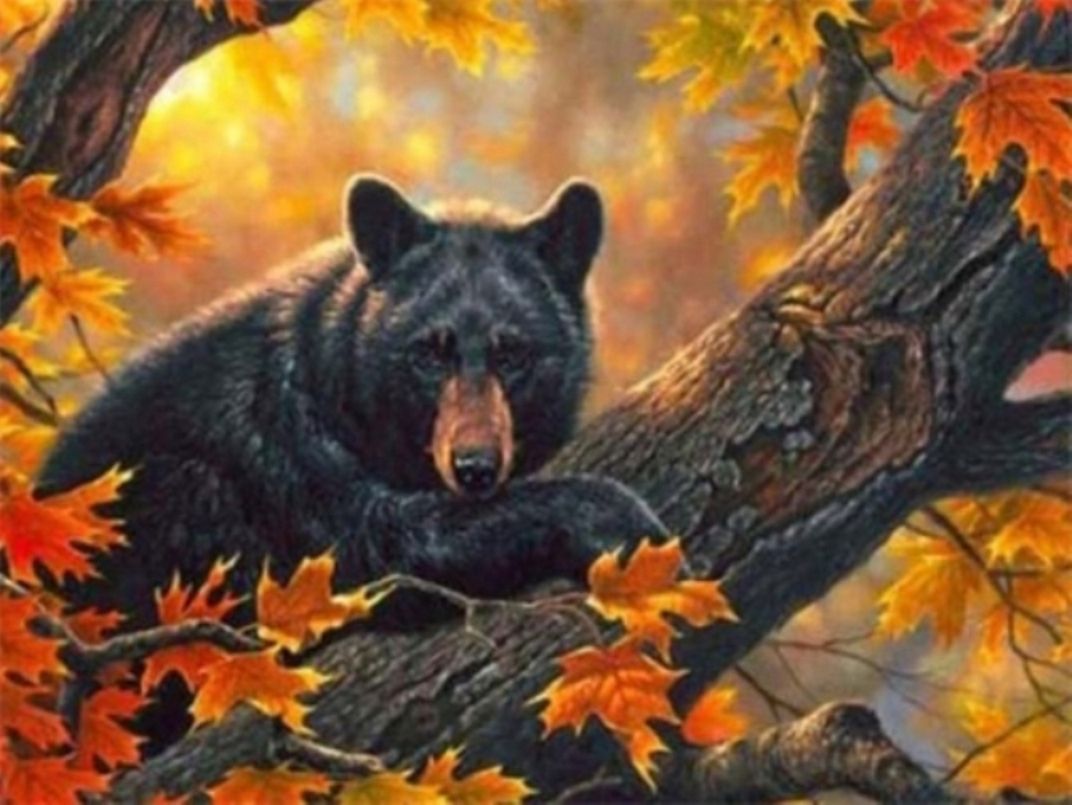 Diamond Painting Vollbild 30x40 mit eckigen Steinen Diamond Painting Vollbild 30x40 mit eckigen Steinen