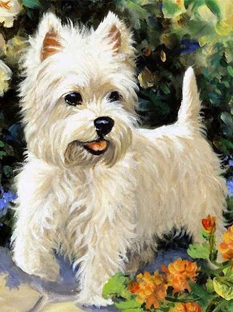 Diamond Painting Vollbild 30x40 mit eckigen Steinen Diamond Painting Vollbild 30x40 mit eckigen Steinen