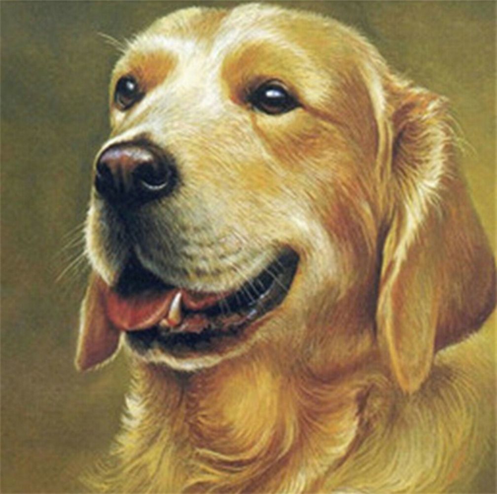 Diamond Painting Vollbild 30x40 mit eckigen Steinen Diamond Painting Vollbild 30x40 mit eckigen Steinen