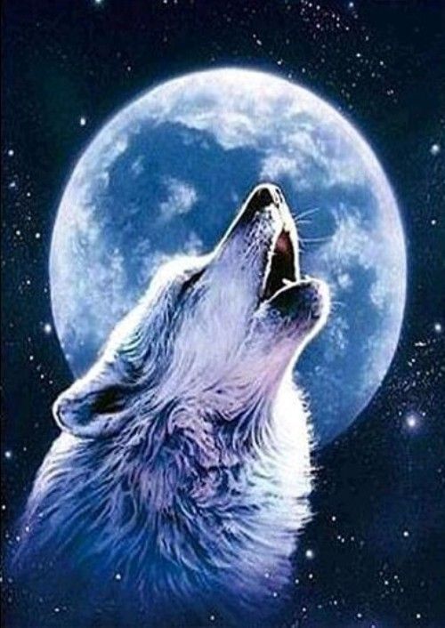 Diamond Painting Vollbild 30x40 mit runden Steinen Diamond Painting Vollbild 30x40 mit runden Steinen