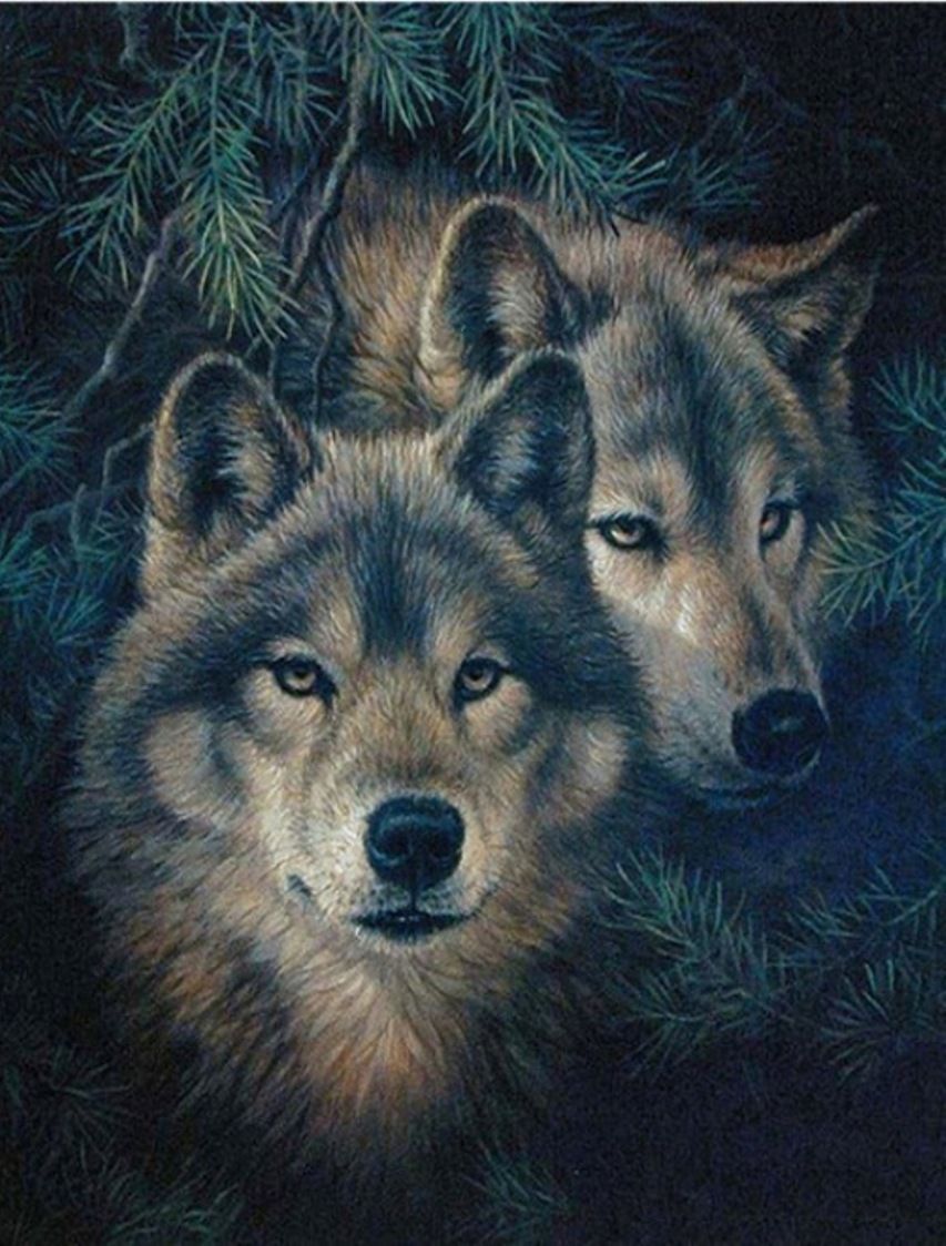 Diamond Painting Vollbild 30x40 mit runden Steinen Diamond Painting Vollbild 30x40 mit runden Steinen