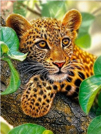 Diamond Painting Vollbild 30x40 mit runden Steinen Diamond Painting Vollbild 30x40 mit runden Steinen
