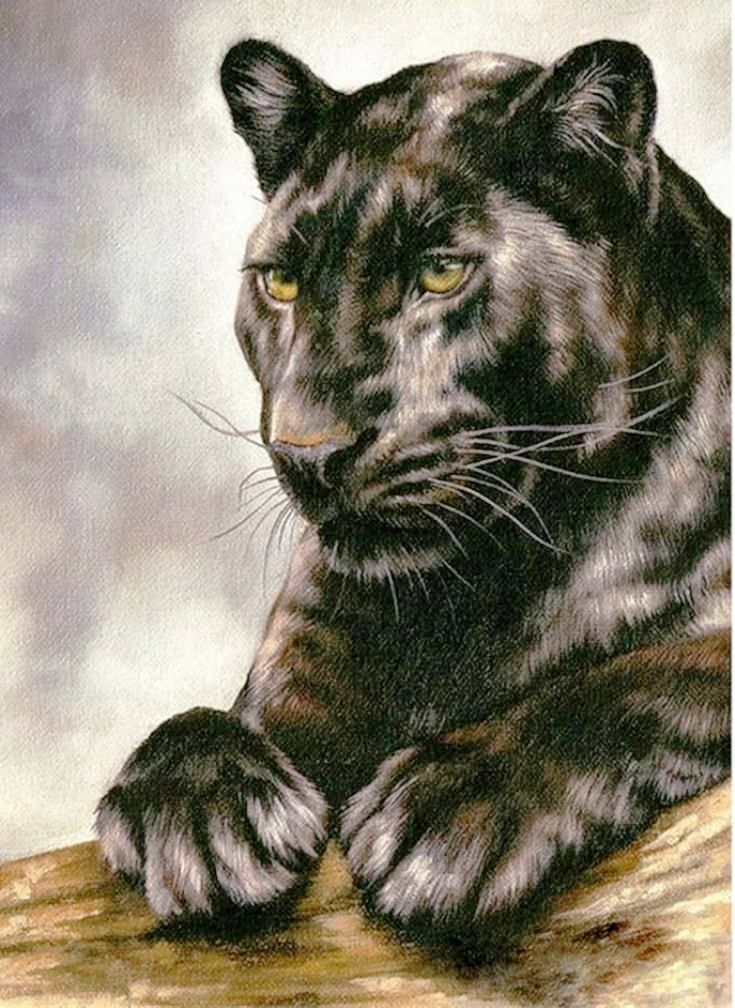 Diamond Painting Vollbild 30x40 mit runden Steinen Diamond Painting Vollbild 30x40 mit runden Steinen