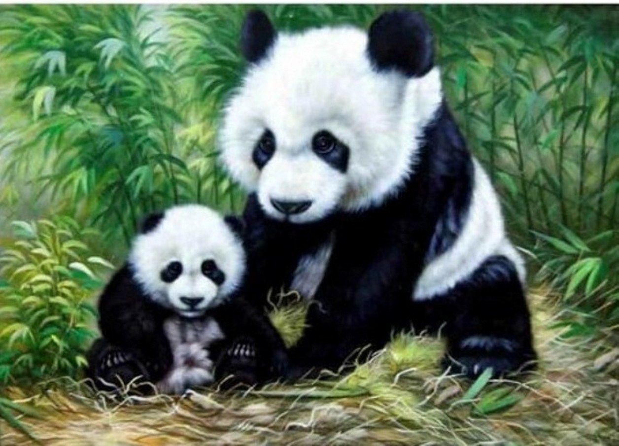 Diamond Painting Vollbild 30x40 mit runden Steinen Diamond Painting Vollbild 30x40 mit runden Steinen