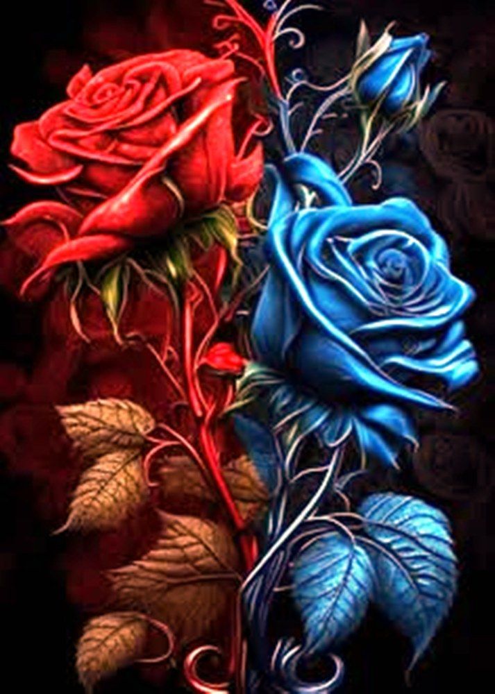Diamond Painting Vollbild 30x40 mit eckigen Steinen