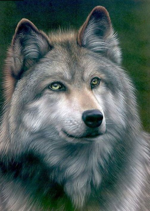 Diamond Painting Vollbild 30x40 mit eckigen Steinen Diamond Painting Vollbild 30x40 mit eckigen Steinen