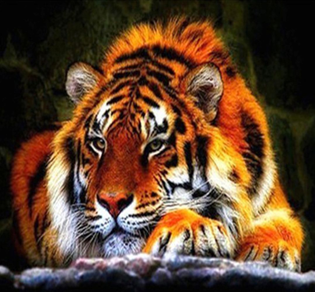 Diamond Painting Vollbild 30x40 mit eckigen Steinen Diamond Painting Vollbild 30x40 mit eckigen Steinen