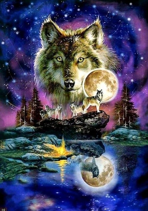 Diamond Painting Vollbild 50x70 mit runden Steinen Diamond Painting Vollbild 50x70 mit runden Steinen