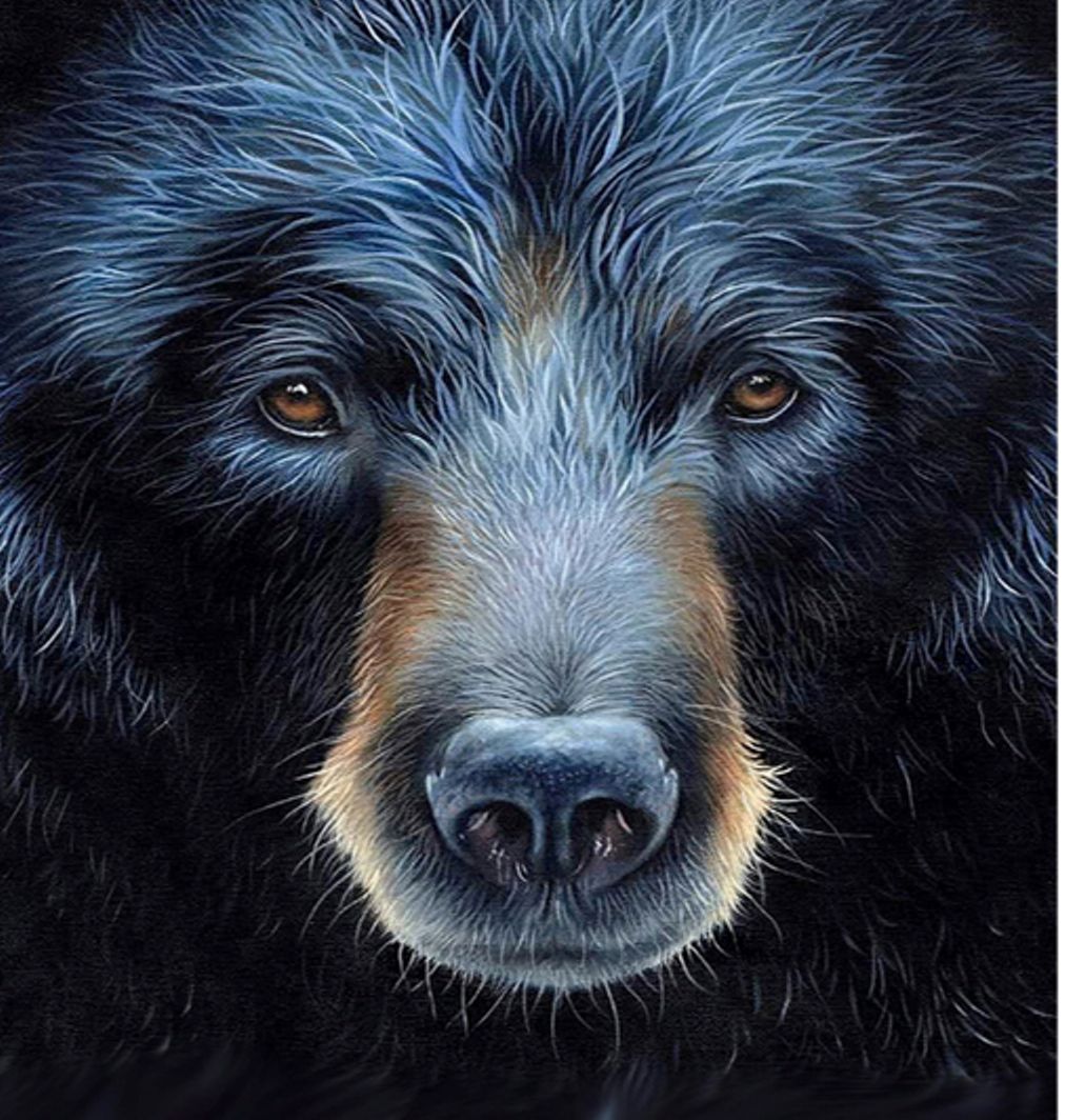 Diamond Painting Vollbild 50x70 mit runden Steinen Diamond Painting Vollbild 50x70 mit runden Steinen