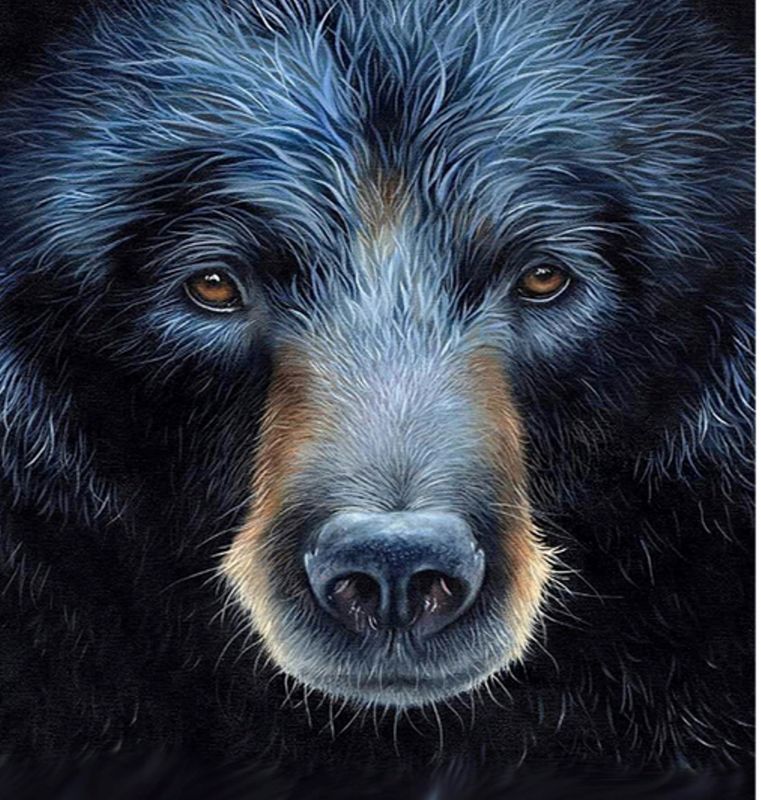 Diamond Painting Vollbild 50x70 mit runden Steinen Diamond Painting Vollbild 50x70 mit runden Steinen