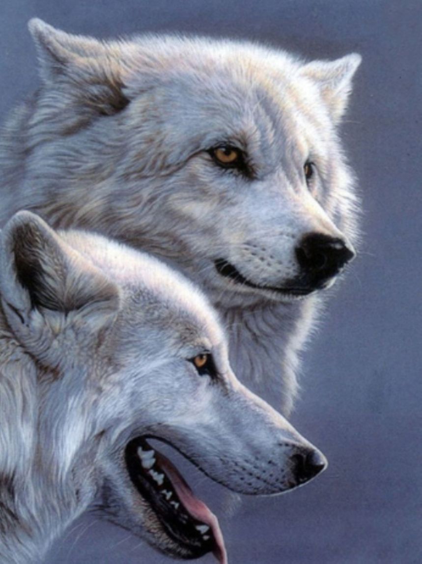 Diamond Painting Vollbild 50x70 mit runden Steinen Diamond Painting Vollbild 50x70 mit runden Steinen