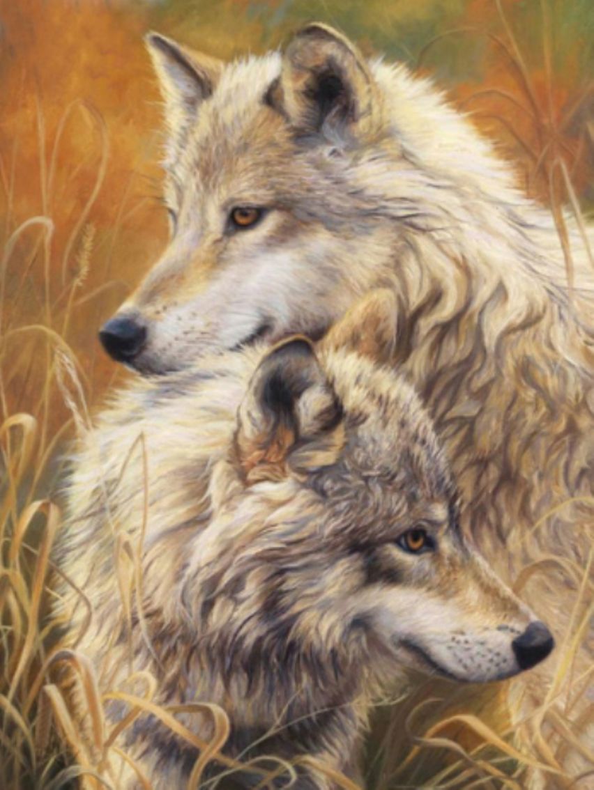 Diamond Painting Vollbild 50x70 mit runden Steinen Diamond Painting Vollbild 50x70 mit runden Steinen