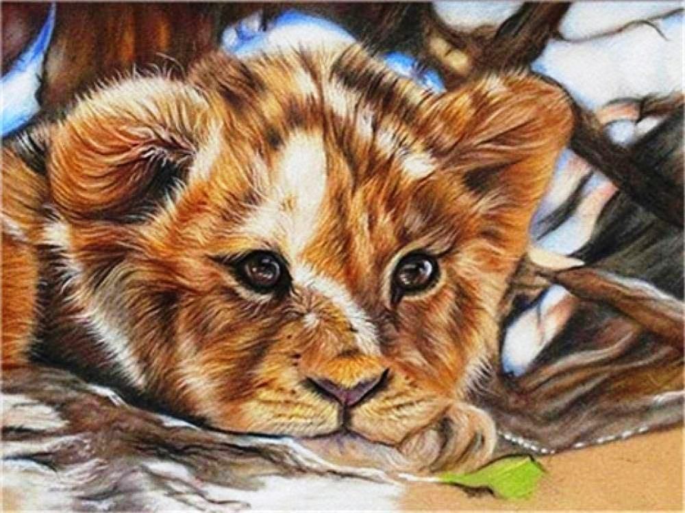 Diamond Painting Vollbild 50x70 mit runden Steinen Diamond Painting Vollbild 50x70 mit runden Steinen