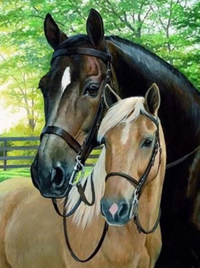 Diamond Painting Vollbild 50x70 mit runden Steinen