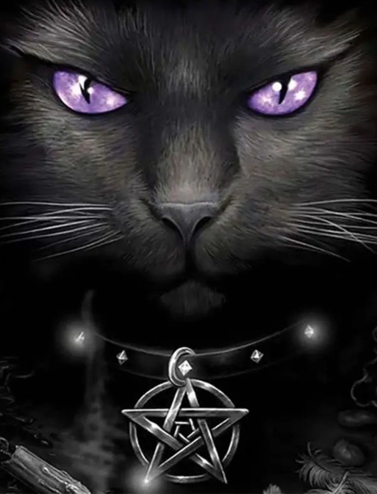 Diamond Painting Vollbild 50x70 mit runden Steinen Diamond Painting Vollbild 50x70 mit runden Steinen