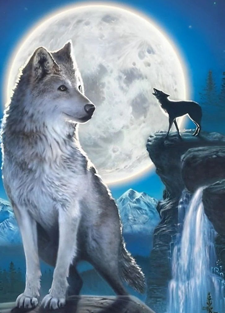 Diamond Painting Vollbild 50x70 mit runden Steinen
