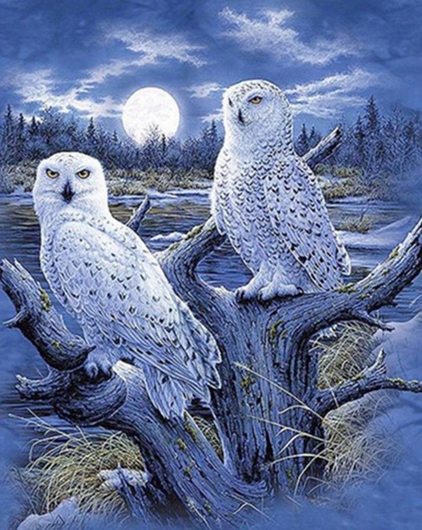 Diamond Painting Vollbild 50x70 mit runden Steinen