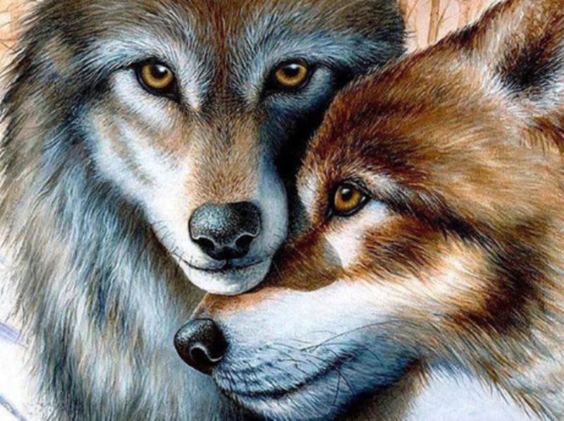 Diamond Painting Vollbild 50x70 mit runden Steinen Diamond Painting Vollbild 50x70 mit runden Steinen