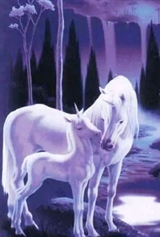 Diamond Painting Vollbild 50x70 mit runden Steinen Diamond Painting Vollbild 50x70 mit runden Steinen
