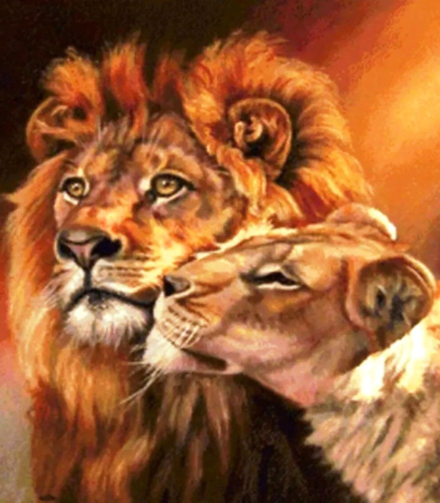 Diamond Painting Vollbild 50x70 mit runden Steinen Diamond Painting Vollbild 50x70 mit runden Steinen